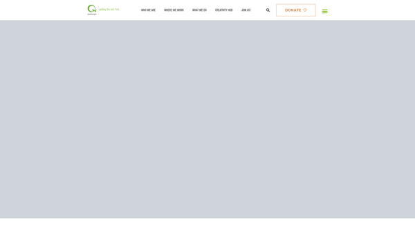 Screenshot of the Questscope website