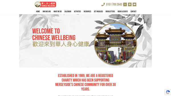 Screenshot of the Chinese Wellbeing website