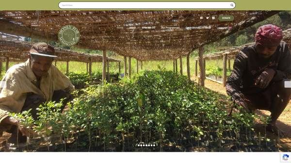 Screenshot of the Money For Madagascar website