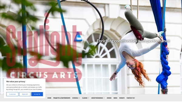 Screenshot of the Skylight Circus In Education website
