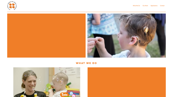Screenshot of the The Speech, Language And Hearing Foundation website