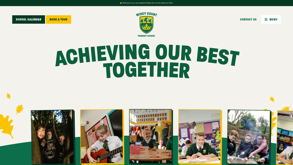 Screenshot of the Widey Court P.T.F.A. website
