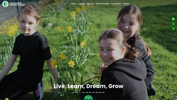 Screenshot of the Friends Of Summerhill School Association website