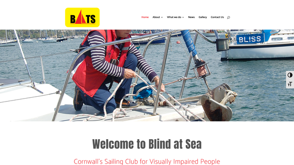 Screenshot of the Bats Blind At Sea website