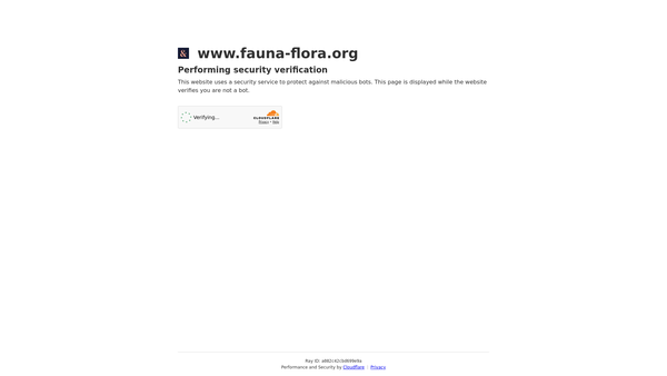Screenshot of the Fauna & Flora International website