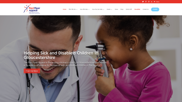 Screenshot of the The Pied Piper Trust website