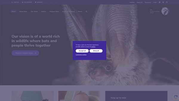Screenshot of the The Bat Conservation Trust website