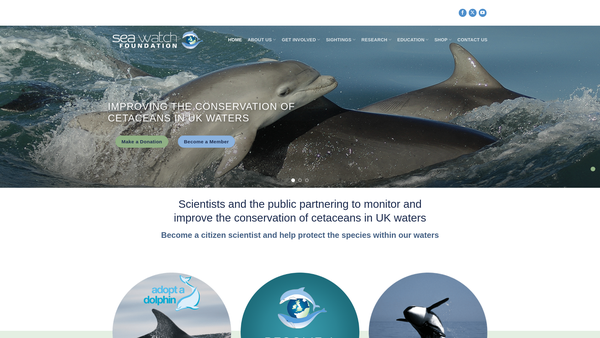 Screenshot of the Sea Watch Foundation, The Cetacean Monitoring Unit website