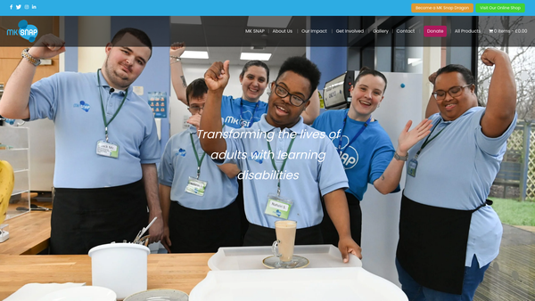 Screenshot of the Milton Keynes Special Needs Advancement Project website