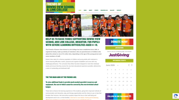 Screenshot of the Friends Of Downs View website