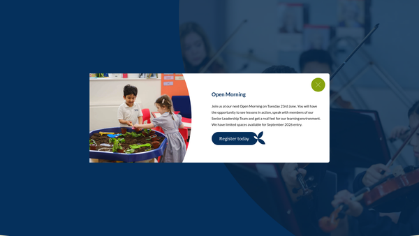 Screenshot of the Newton Bursary Fund website