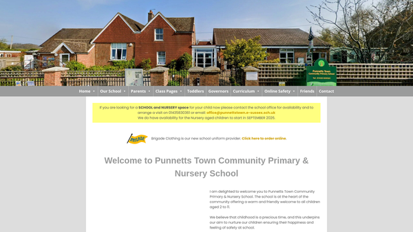 Screenshot of the Friends Of Punnetts Town Community Primary School website