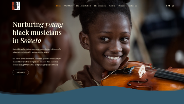 Screenshot of the Buskaid website
