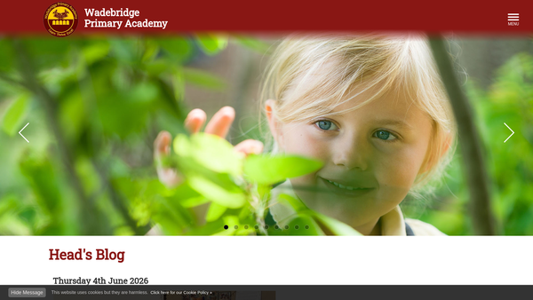 Screenshot of the Friends Of Wadebridge Primary Academy website