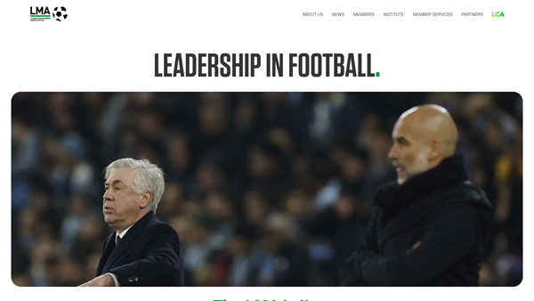 Screenshot of the In The Game website