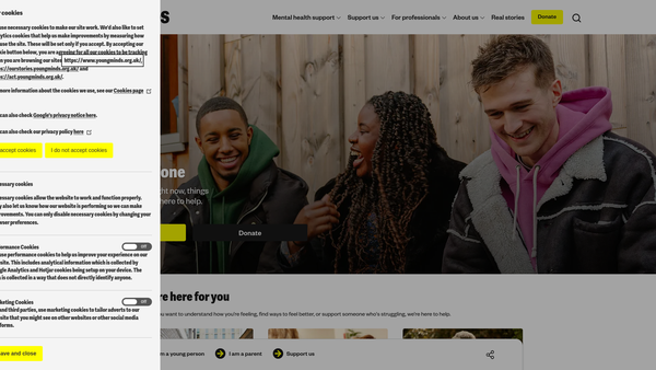 Screenshot of the Young Minds Trust website