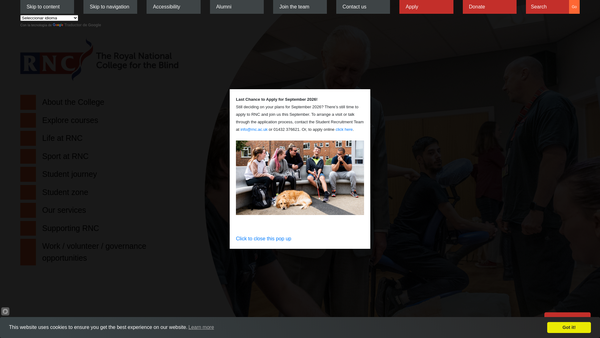 Screenshot of the Blindcare website