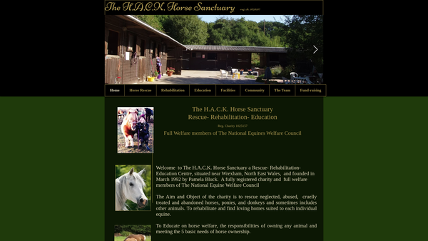 Screenshot of the Horse Aid Care Knowledge website