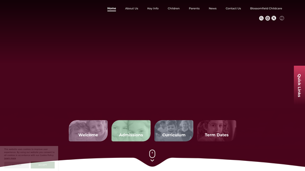 Screenshot of the Blossomfield Infant School Parent Teacher Association website