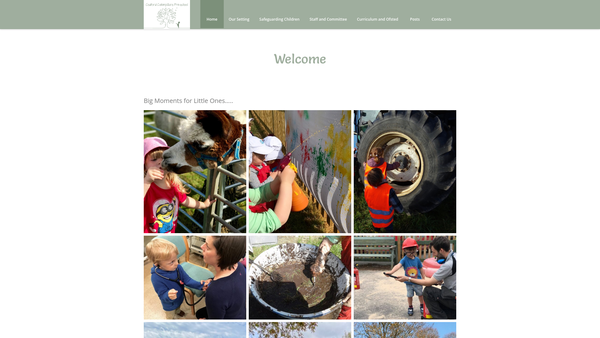 Screenshot of the Codford Caterpillars Pre-School website