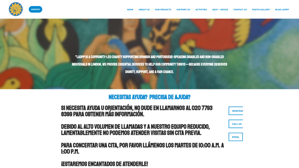 Screenshot of the Latin American Disabled Peoples Project website