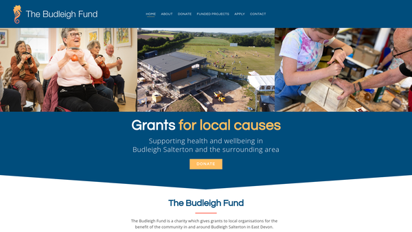 Screenshot of the League Of Friends Of The Budleigh Salterton Hospital website