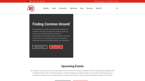 Screenshot of the The Dawodu Foundation website