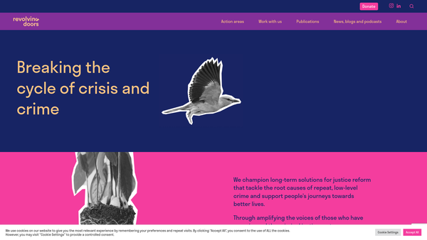 Screenshot of the The Revolving Doors Agency website