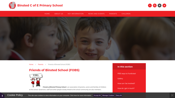 Screenshot of the Friends Of Binsted School website