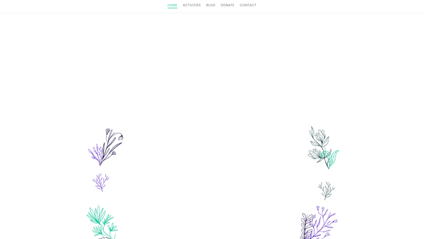 Screenshot of the Raphael Centre website