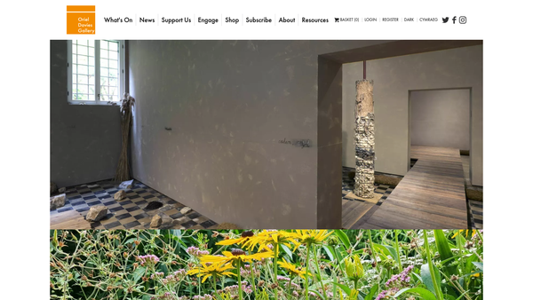 Screenshot of the Oriel Davies Gallery website