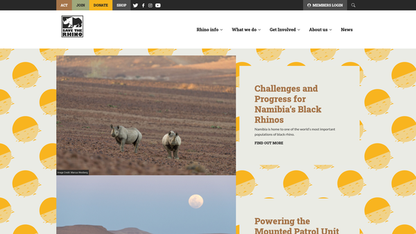 Screenshot of the Save The Rhino International website