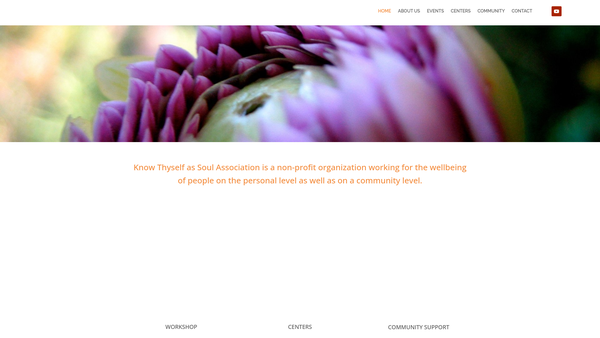 Screenshot of the Know Thyself as Soul website
