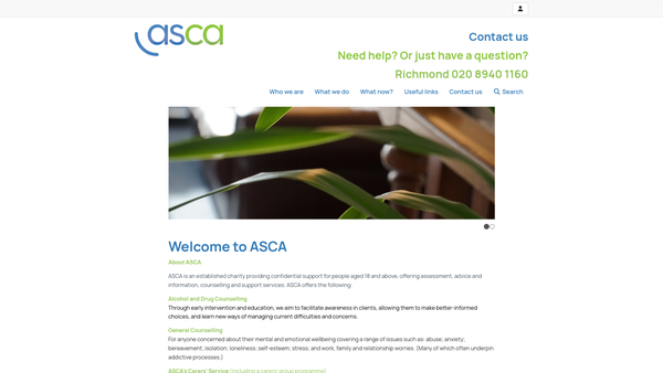 Screenshot of the Alcohol Services Kingston & Richmond website