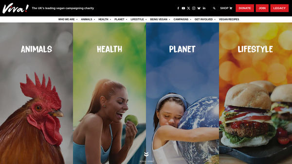 Screenshot of the Viva! website