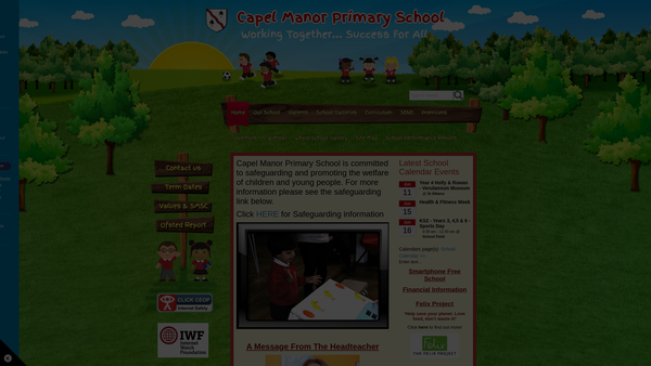 Screenshot of the Friends Of Capel Manor Primary School website