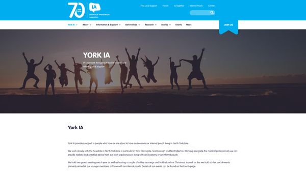 Screenshot of the York Ia website