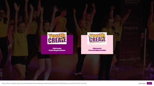 Screenshot of the Youth Create website