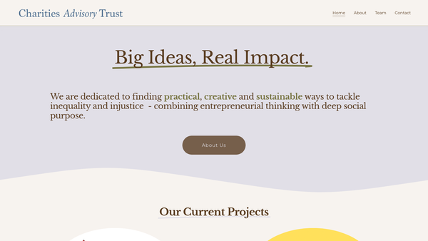 Screenshot of the The Charities Advisory Trust website