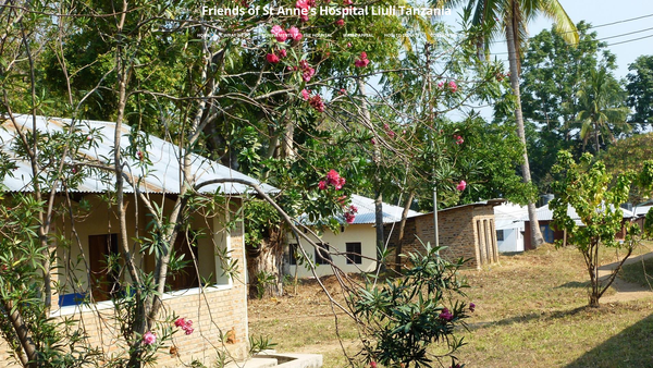 Screenshot of the The Friends Of St Anne's Hospital Liuli website