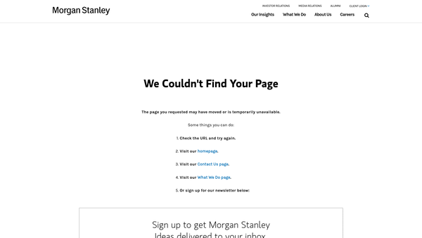 Screenshot of the Morgan Stanley International Foundation website
