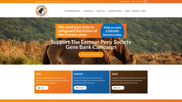 Screenshot of the The Exmoor Pony Society website
