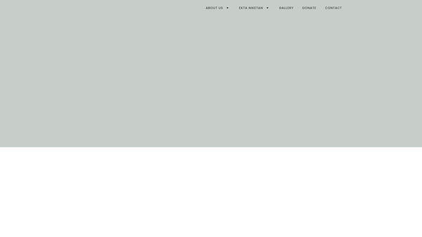 Screenshot of the Fourth World Action website