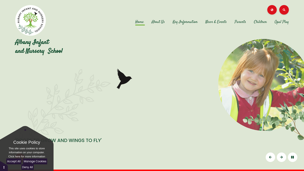 Screenshot of the Albany Infant School Fund website