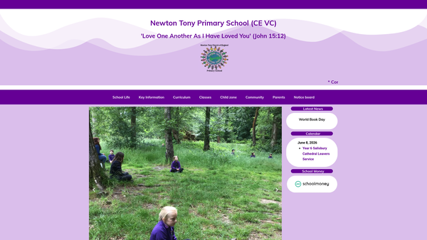 Screenshot of the Friends Of Newton Tony School website