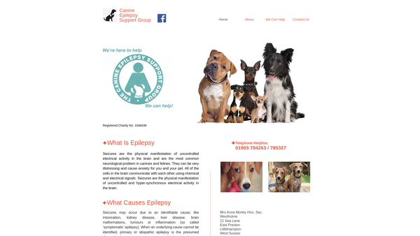 Screenshot of the Canine Epilepsy Support Group website