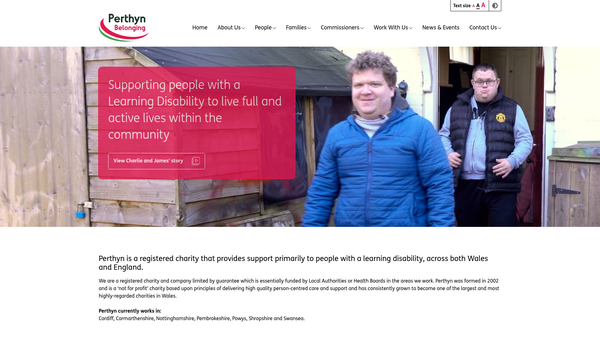 Screenshot of the Perthyn website