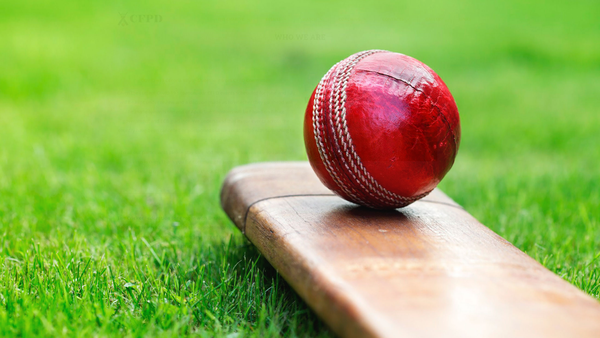 Screenshot of the Cricket Federation For People With Disabilities website