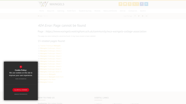 Screenshot of the Waingels PTA website