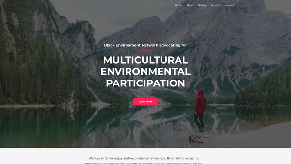 Screenshot of the Black Environment Network website
